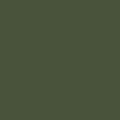 Olive Grey - RAL 6003
